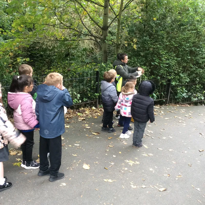 Gallery - created at 2024-10-15 15:42:06 - image 7 Gallery - created at 2024-10-15 15:42:06 - image 7