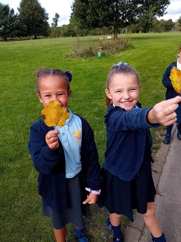 Robins searching for autumn treasures - image 3 Robins searching for autumn treasures - image 3
