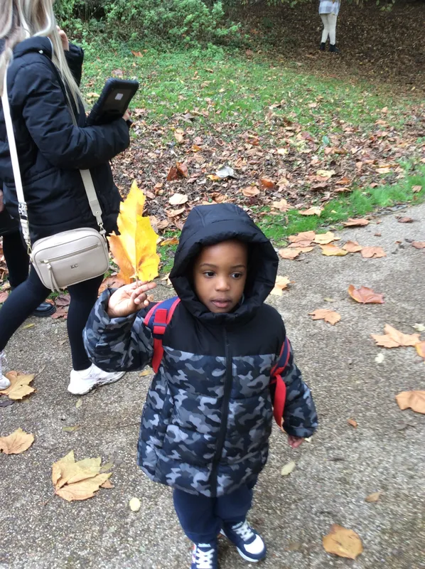 Gallery - created at 2024-11-05 15:27:50 - image 34 Gallery - created at 2024-11-05 15:27:50 - image 34