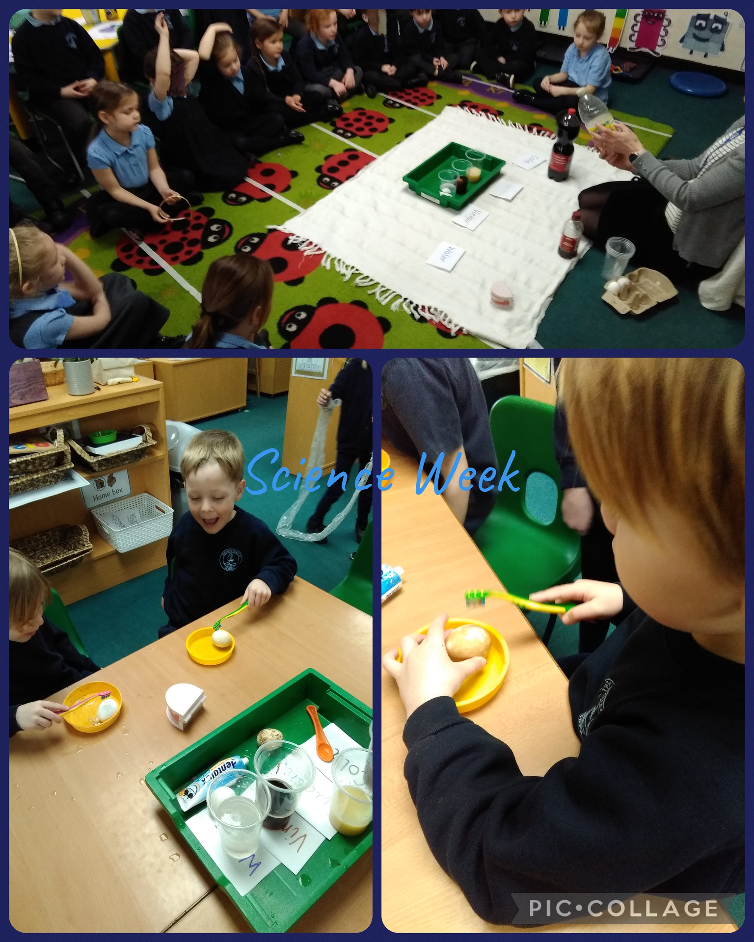 British Science Week!