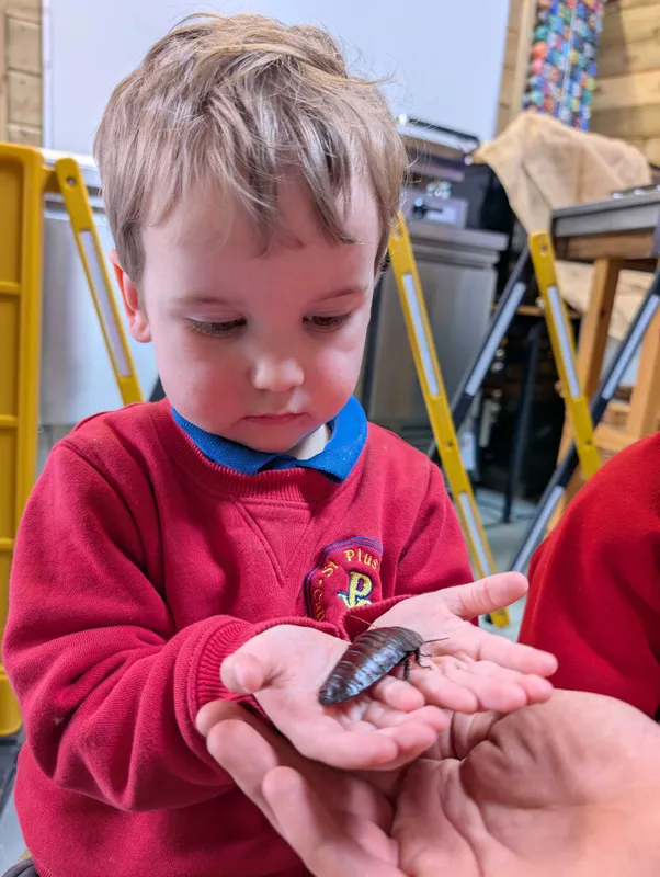 Gallery - created at 2025-05-18 08:54:34 - image 3