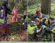 Forest School 74 - image 1 Forest School 74 - image 1