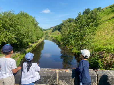 Eligibility Criteria