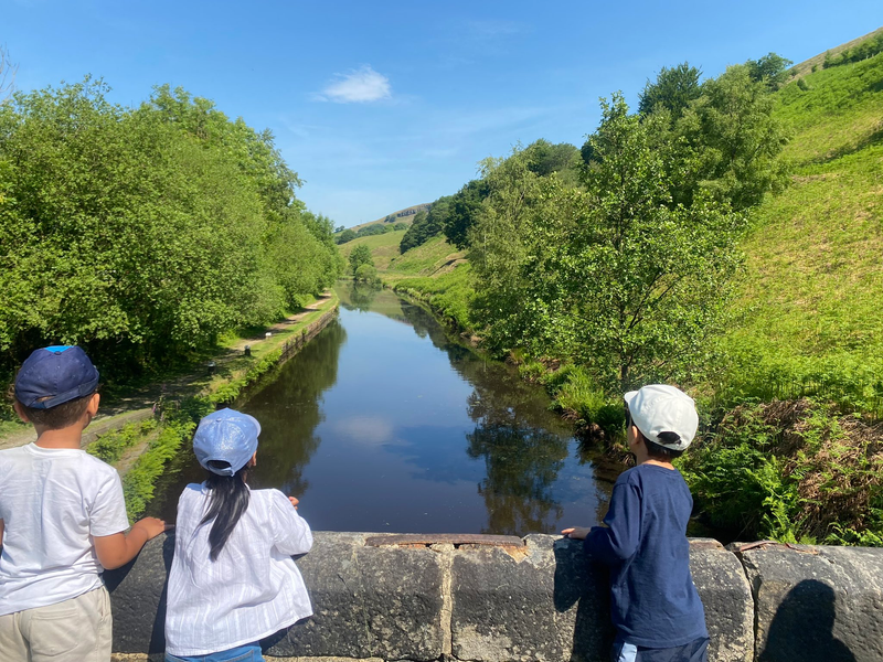 Eligibility Criteria