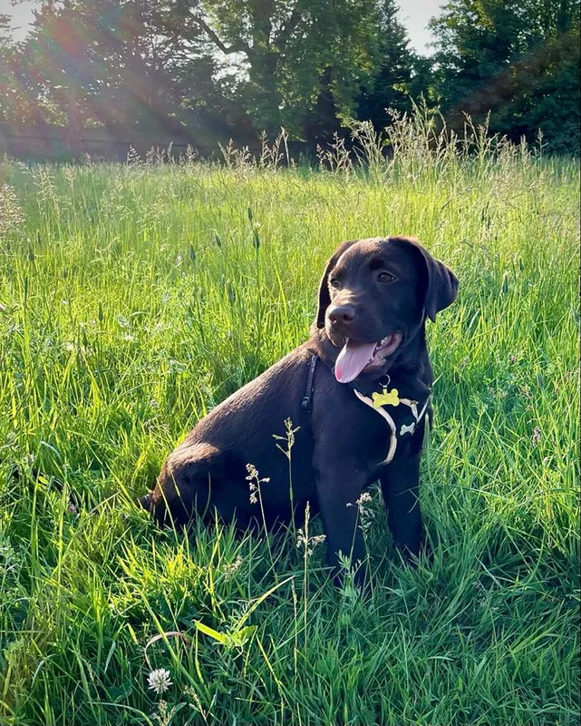 Gallery - created at 2021-06-30 13:57:57 - image 36