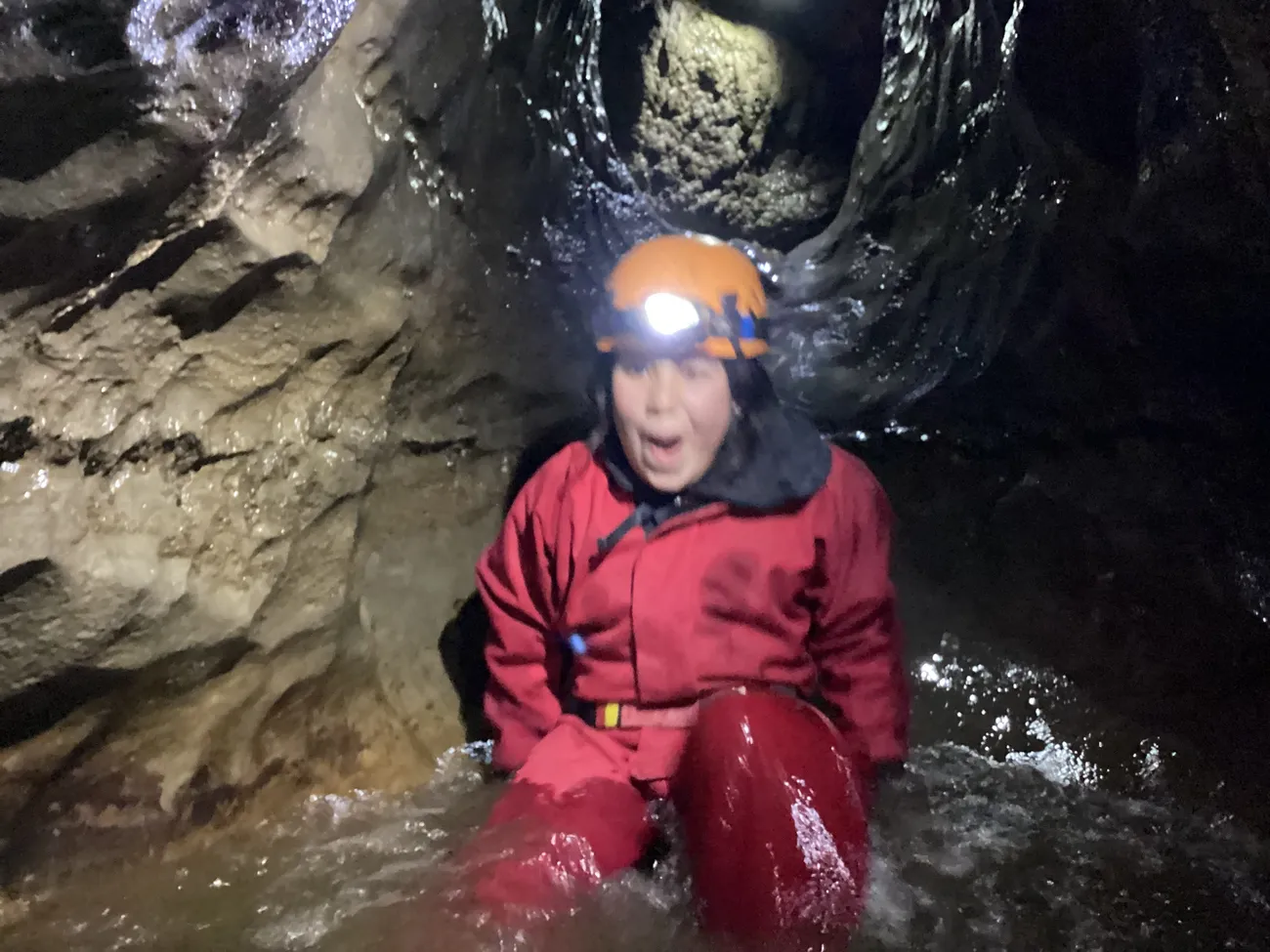 Gallery - created at 2024-09-19 19:43:35 - image 5 Gallery - created at 2024-09-19 19:43:35 - image 5