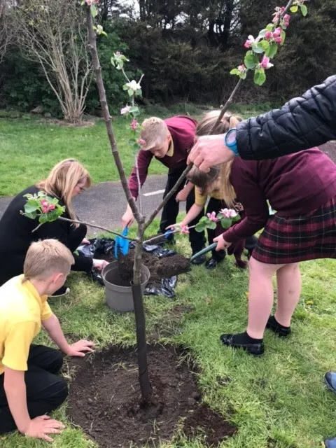 Gallery - created at 2023-03-24 15:06:35 - image 3