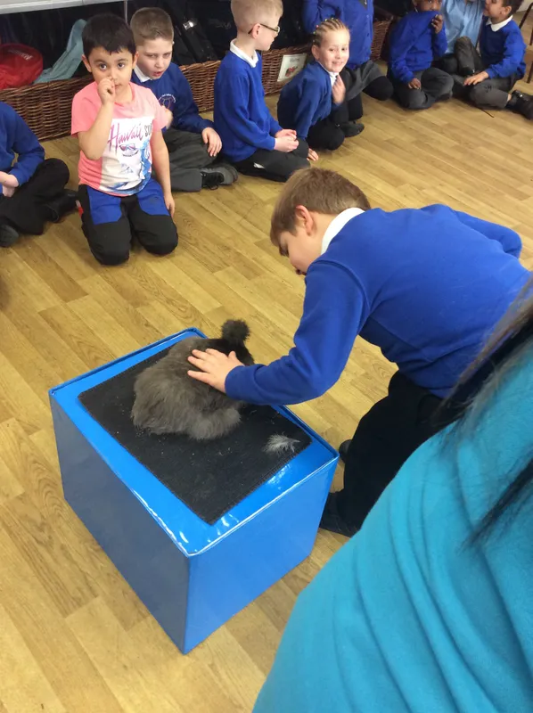 Gallery - created at 2024-03-05 13:52:56 - image 42 Gallery - created at 2024-03-05 13:52:56 - image 42