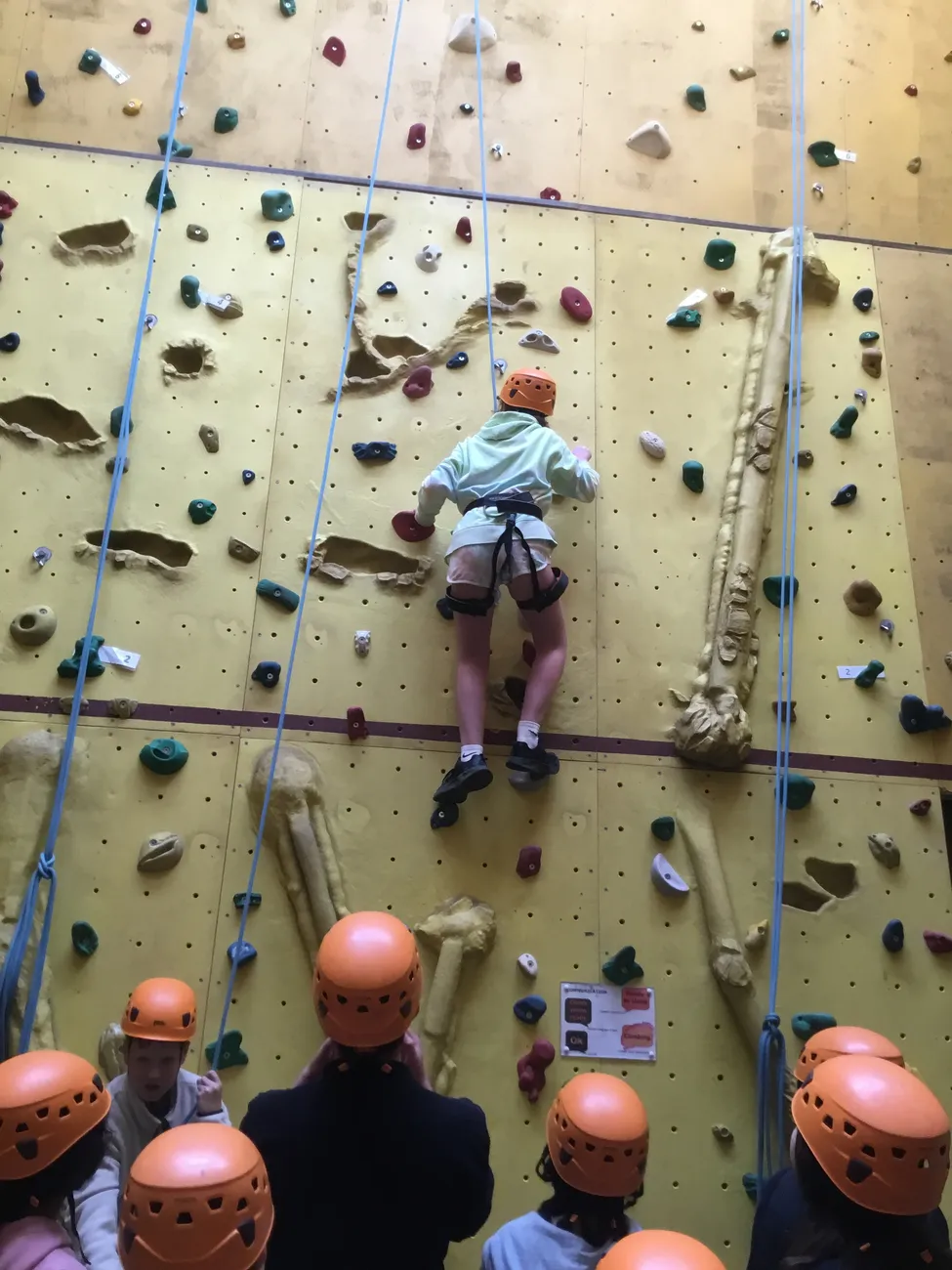 Gallery - created at 2022-06-08 23:46:14 - image 4 Gallery - created at 2022-06-08 23:46:14 - image 4