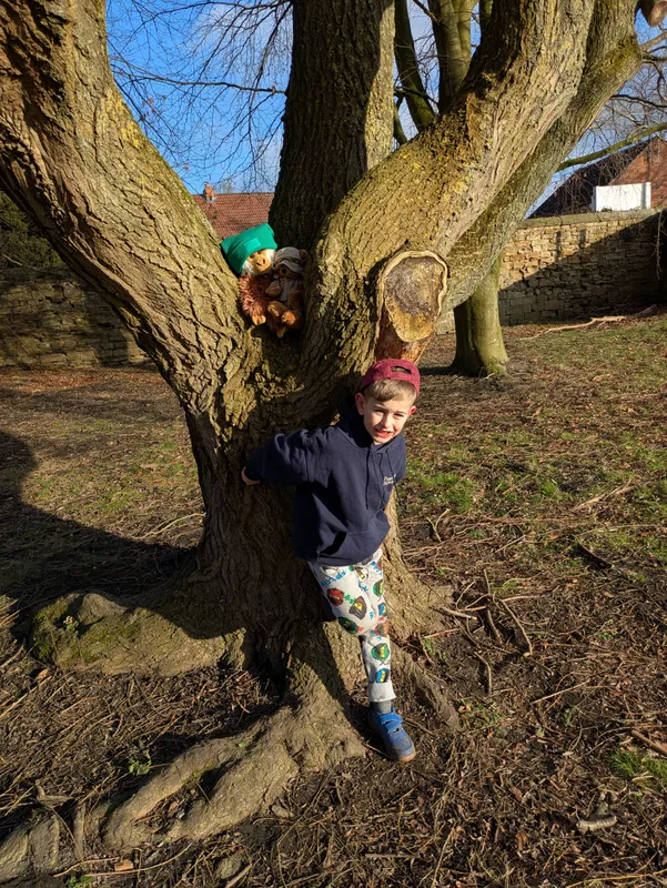 Gallery - created at 2025-02-23 10:12:03 - image 13