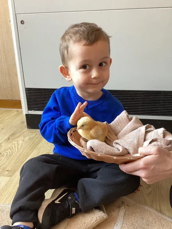 Gallery - created at 2025-04-08 15:36:47 - image 31