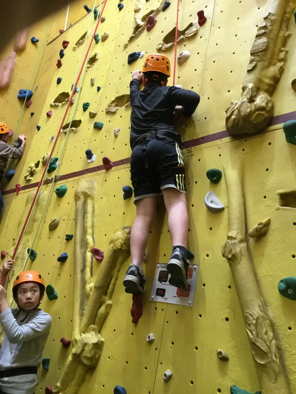 Gallery - created at 2024-09-19 19:48:04 - image 13 Gallery - created at 2024-09-19 19:48:04 - image 13