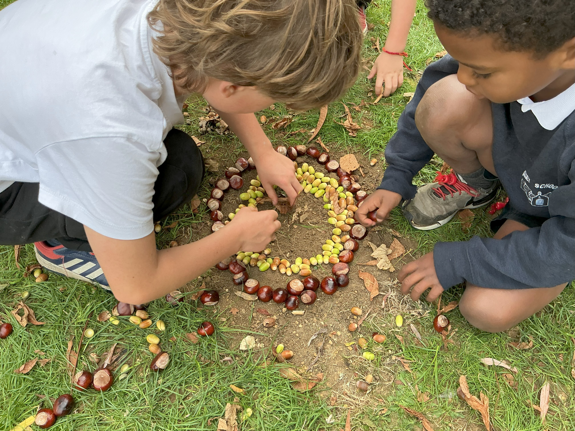 Autumn Days - Andy Goldsworthy Style