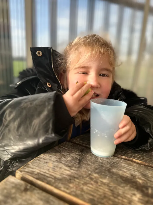 Tesco Fruit & Veg Scheme - image 11 Tesco Fruit & Veg Scheme - image 11