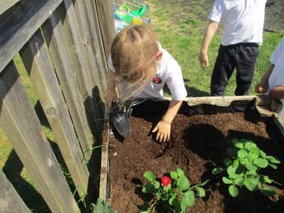 Planting - image 20