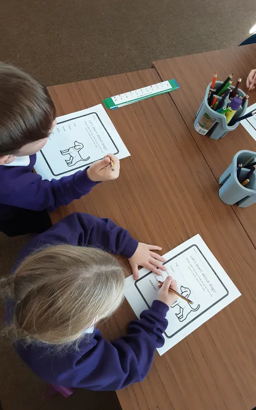 Gallery - created at 2024-09-26 10:17:01 - image 1 Gallery - created at 2024-09-26 10:17:01 - image 1