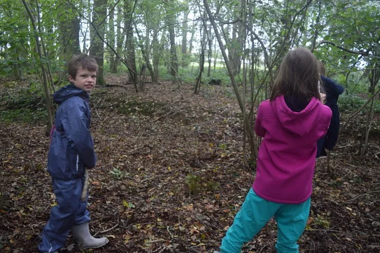 Gallery 6 - image 11