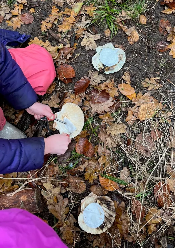 Gallery - created at 2022-12-06 12:52:57 - image 10