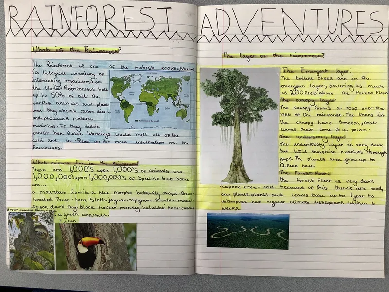 Gallery - created at 2021-04-26 21:31:33 - image 2 Gallery - created at 2021-04-26 21:31:33 - image 2