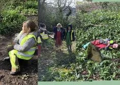 Forest School 74 - image 3 Forest School 74 - image 3