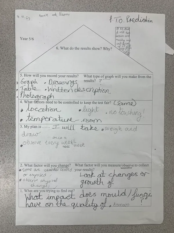 Gallery - created at 2023-10-12 11:42:37 - image 4