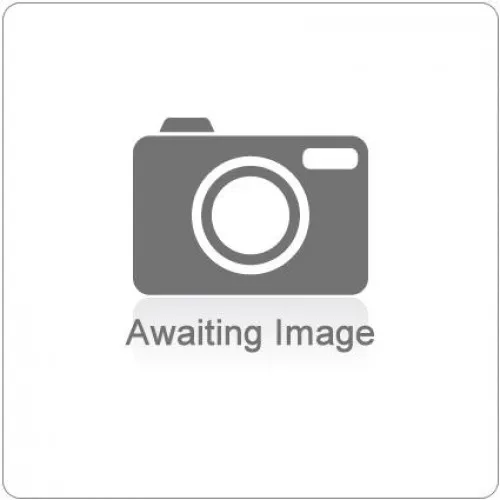 Curriculum and Learning