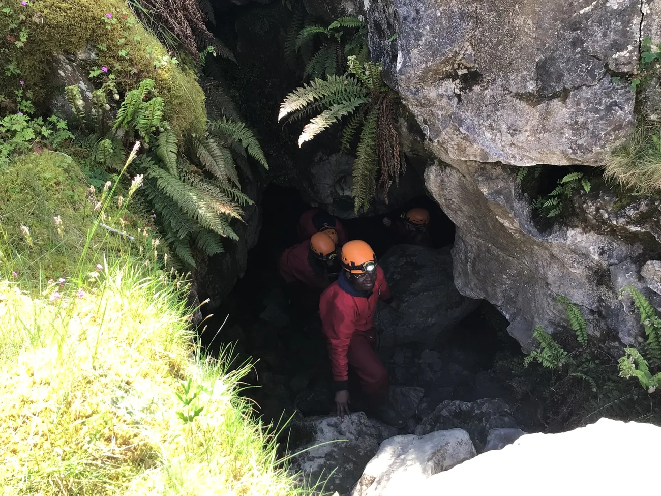 Gallery - created at 2022-06-07 22:51:19 - image 29 Gallery - created at 2022-06-07 22:51:19 - image 29