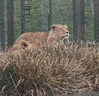 Chester Zoo Trip 2026 - image 6