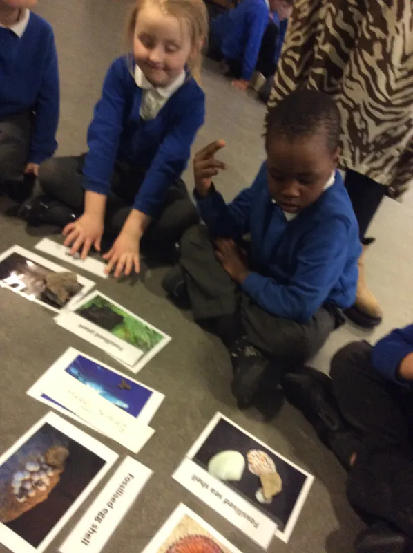 Gallery - created at 2024-02-09 11:53:37 - image 9