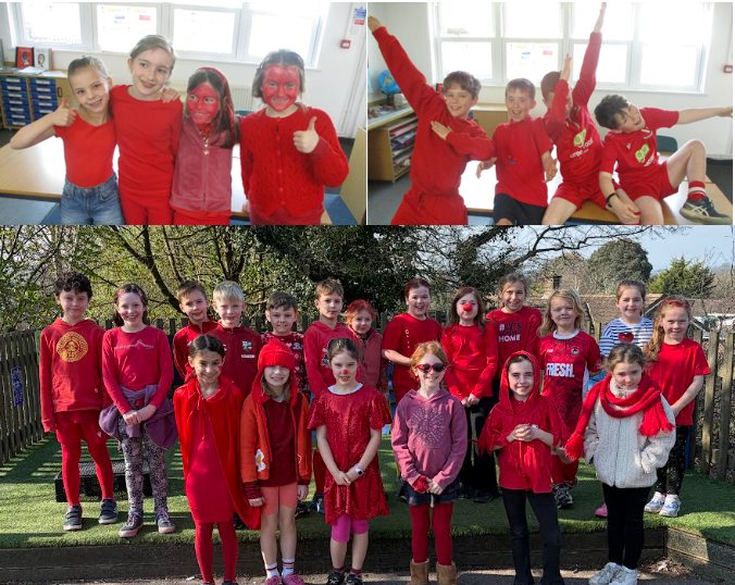 Red Nose Day Celebrations at School