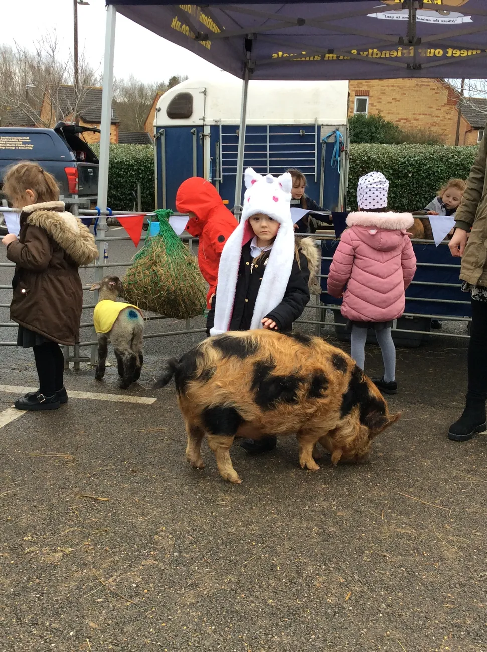 Gallery - created at 2022-03-04 13:11:52 - image 6