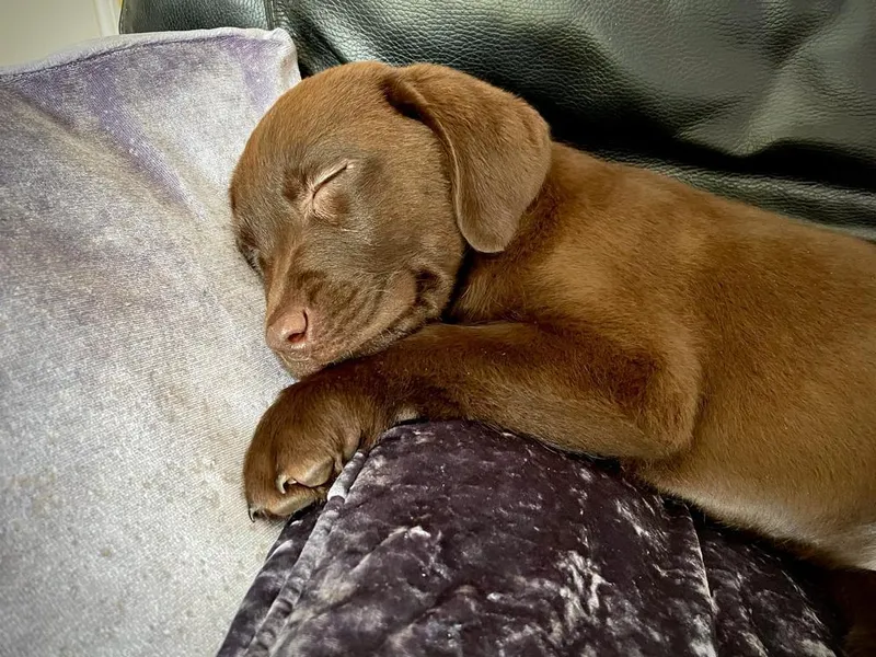 Gallery - created at 2021-06-30 13:57:57 - image 35