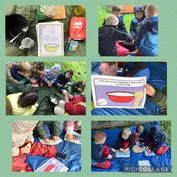 Forest School 30 - image 1 Forest School 30 - image 1