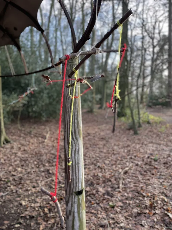 Gallery - created at 2023-01-13 16:15:20 - image 6 Gallery - created at 2023-01-13 16:15:20 - image 6