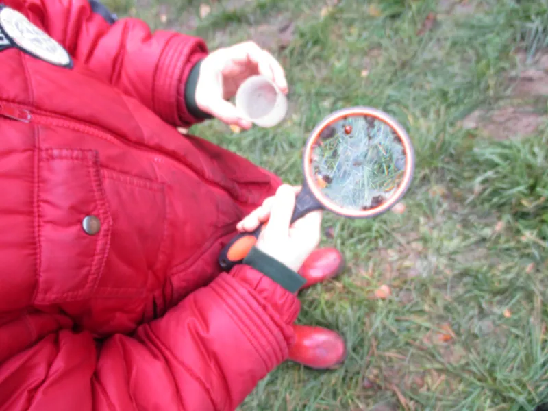 Forest School Fun Year 1 - image 20 Forest School Fun Year 1 - image 20