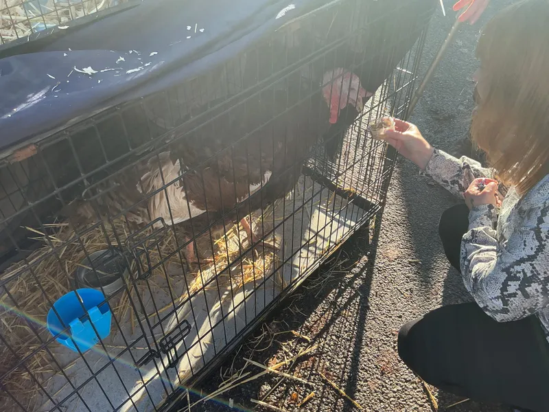 Explorers with Stella on Wheels  - image 31