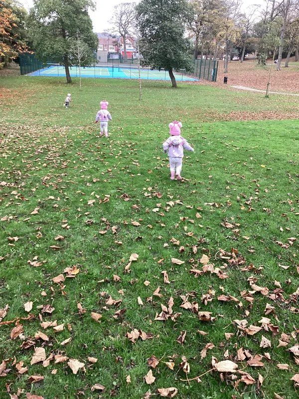 Gallery - created at 2024-11-08 10:10:59 - image 34 Gallery - created at 2024-11-08 10:10:59 - image 34