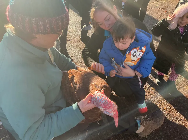 Stella ‘Farm on wheels’ part 2  - image 7