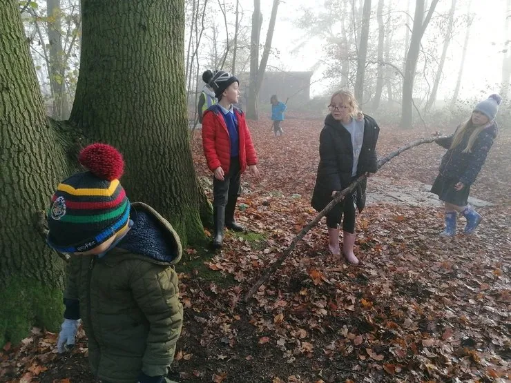 Gallery 2 - image 16