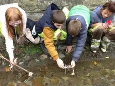 Forest School 146 - image 3 Forest School 146 - image 3