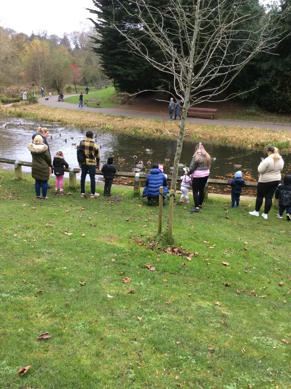 Gallery - created at 2024-11-05 15:27:50 - image 32 Gallery - created at 2024-11-05 15:27:50 - image 32