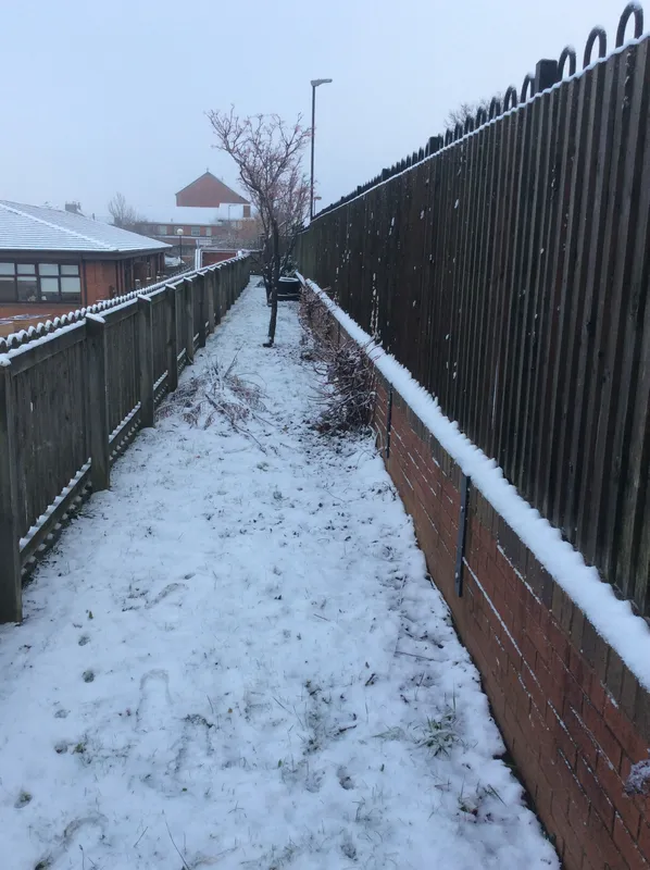 Gallery - created at 2022-12-15 12:27:59 - image 5