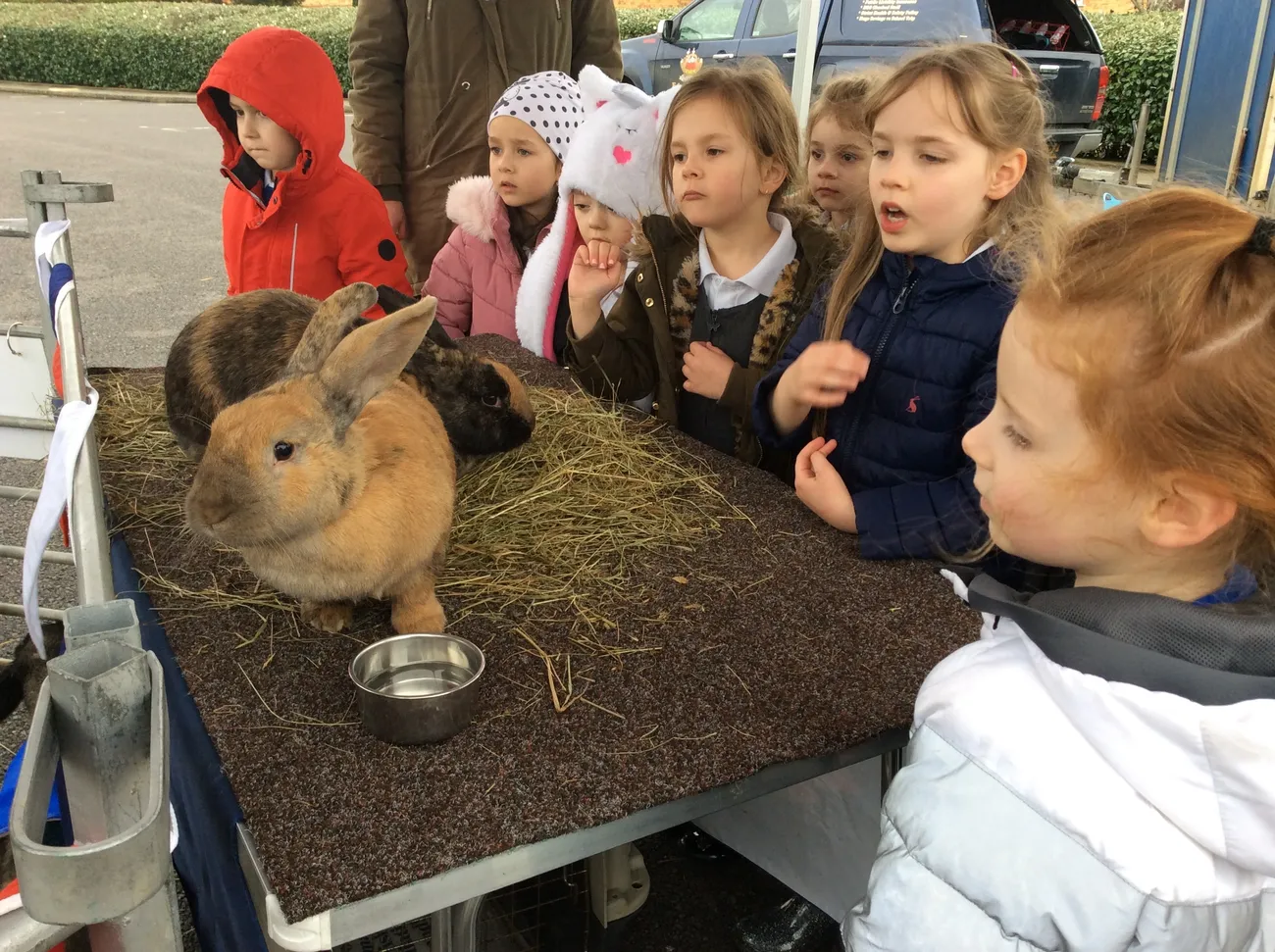 Gallery - created at 2022-03-04 13:11:52 - image 8