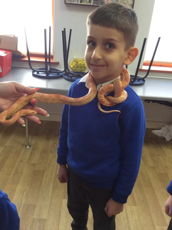 Gallery - created at 2024-02-26 17:15:57 - image 60 Gallery - created at 2024-02-26 17:15:57 - image 60