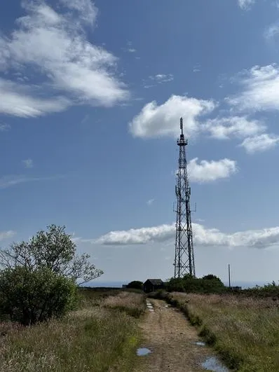 Summer 2023 - 21st June - Oaks - Stoupe Brow Moorland Walk - wildlife, map work (National Parks) - image 1 Summer 2023 - 21st June - Oaks - Stoupe Brow Moorland Walk - wildlife, map work (National Parks) - image 1