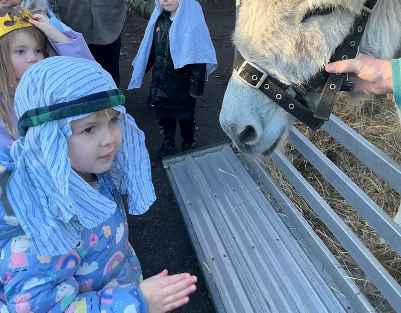 Stella farm on wheels Part 1 - image 49