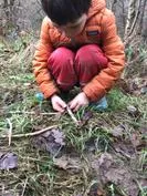 Forest School 113 - image 1 Forest School 113 - image 1