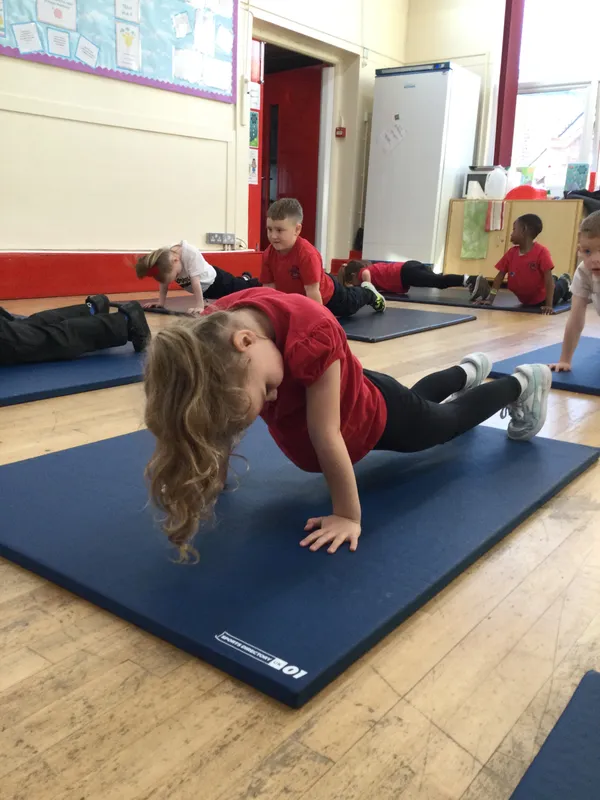 Y1 PE - image 16 Y1 PE - image 16