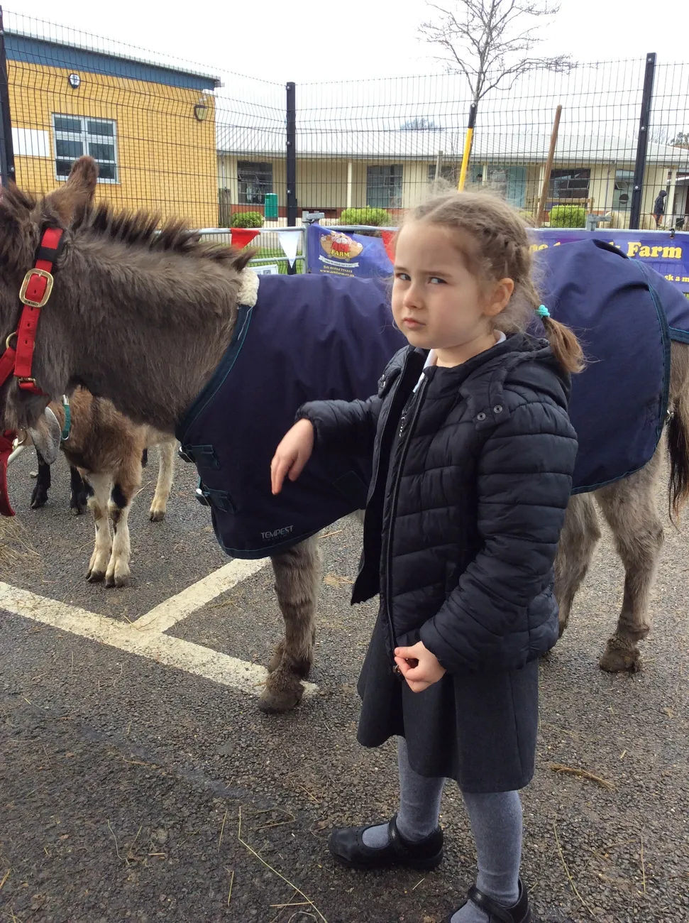 Gallery - created at 2022-03-04 13:11:52 - image 1