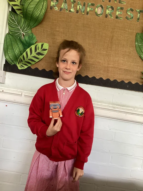 Beech Class Summer Homework Showcase - image 19